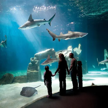 Con Posto Auto Privato Comodo A Centro E Spiagge Appartement Lavagna